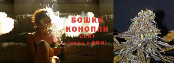 сатива Верхний Тагил