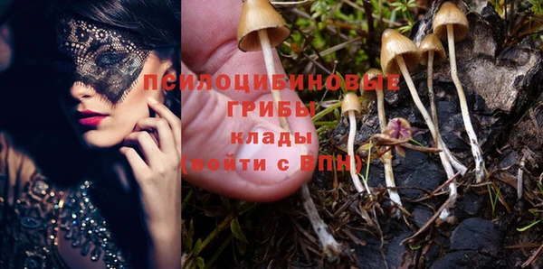 альфа пвп Верхнеуральск