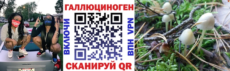 что такое   Янаул  Псилоцибиновые грибы Magic Shrooms 
